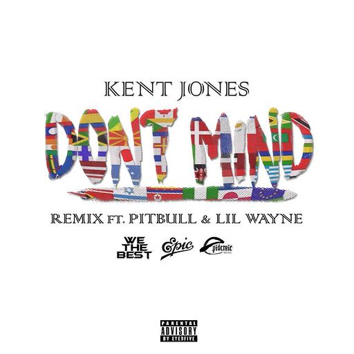 Don't Mind (feat. Pitbull & Lil Wayne) [Remix]