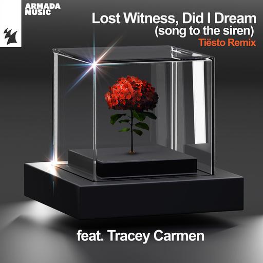 Did I Dream (Song To The Siren) [Tiësto Remix]